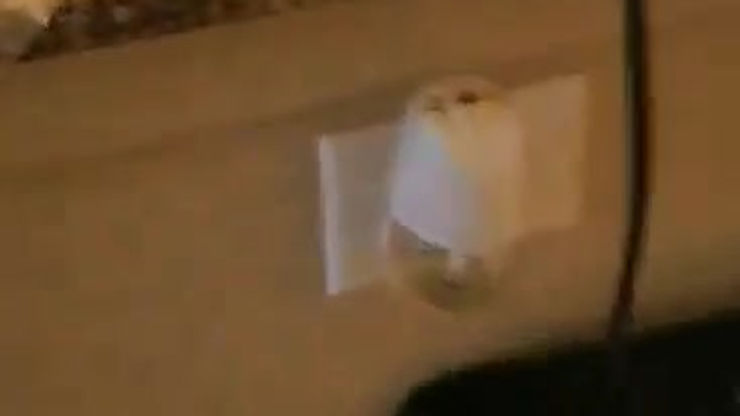 video-1620874191